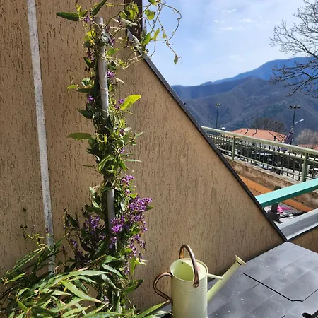 Sophia Apartment