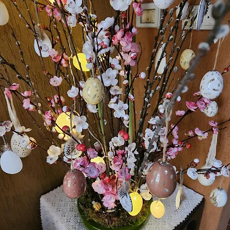 Apartament Sophia Triora