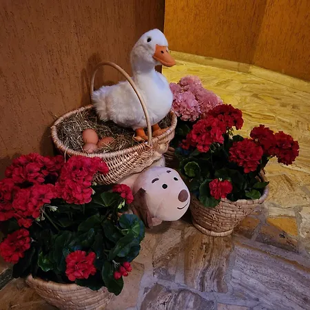 شقة Sophia تريورا