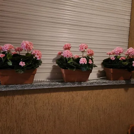 Sophia Apartman Triora