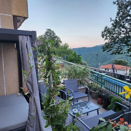 Sophia Apartman Triora