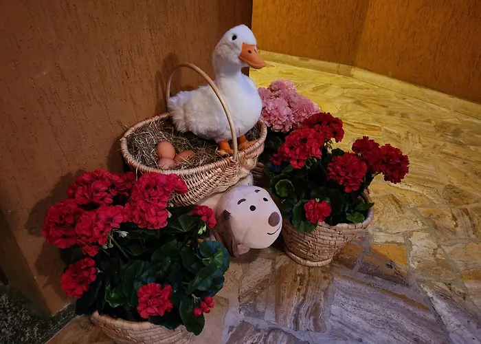 Апартаменты Sophia Триора