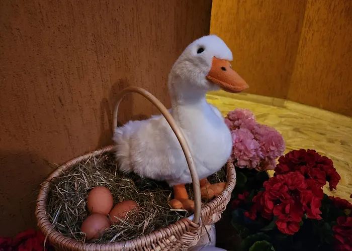 Апартаменты Sophia