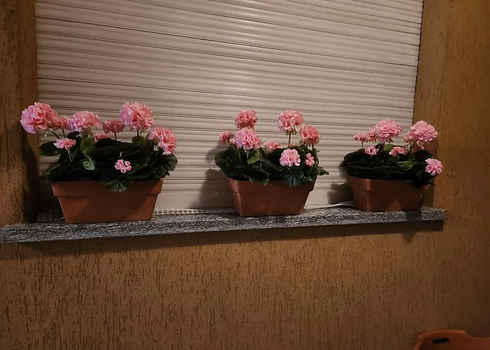 Sophia Апартаменты Триора