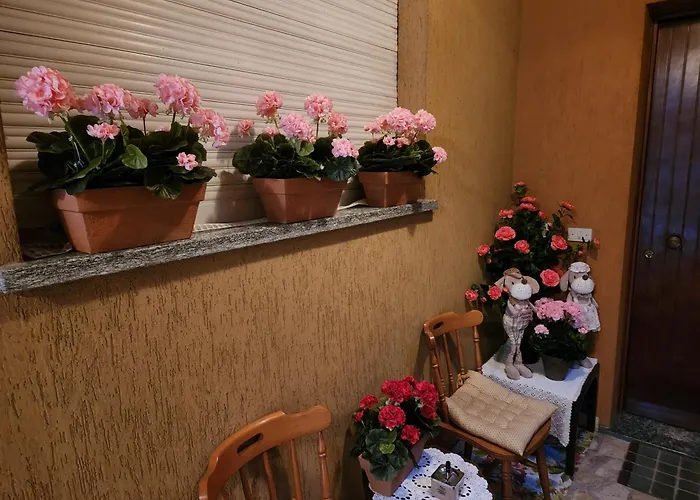 Sophia Apartament *